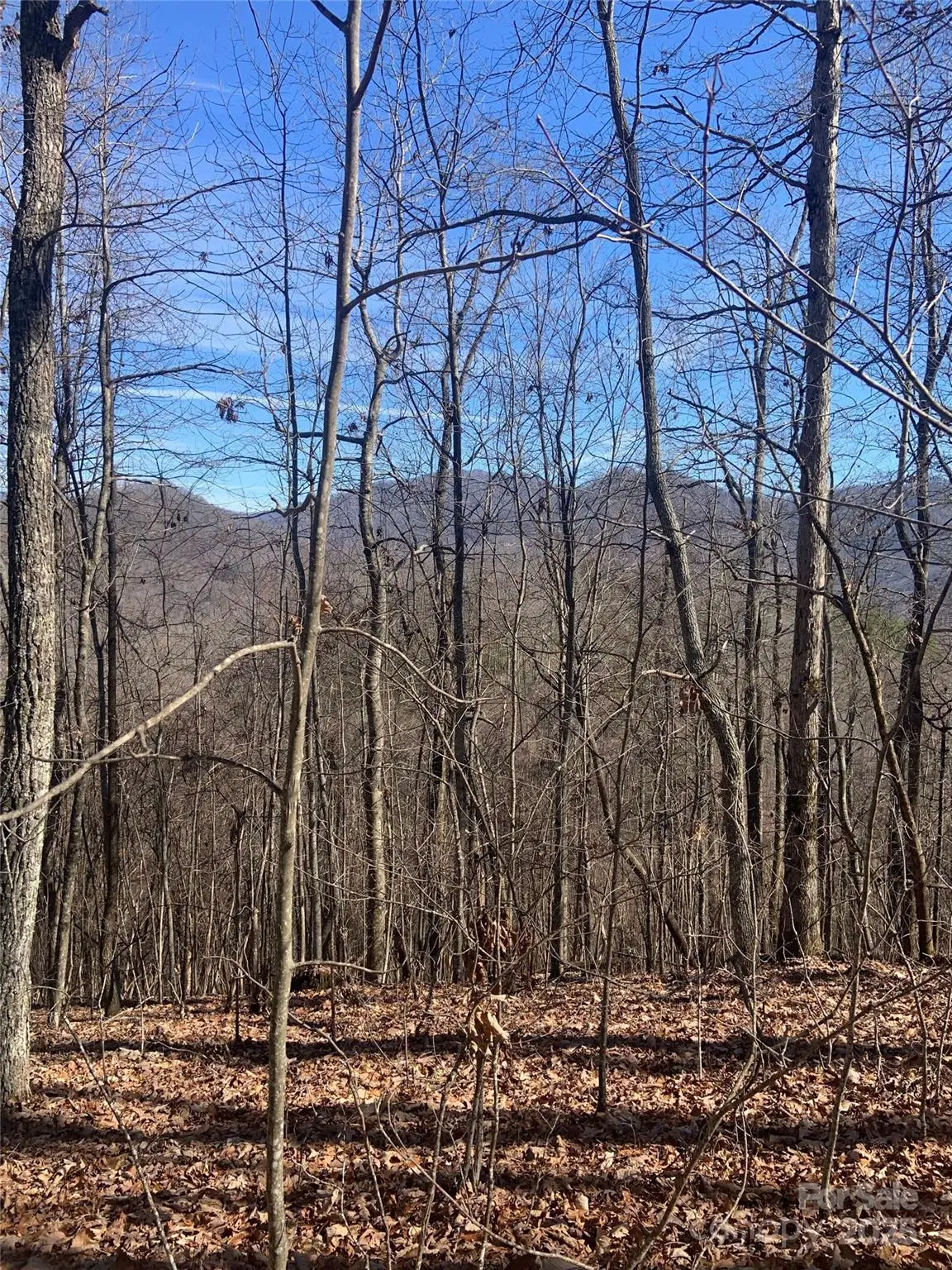 TBD Ashe Branch View #66J, Hayesville, NC 28904 - #1