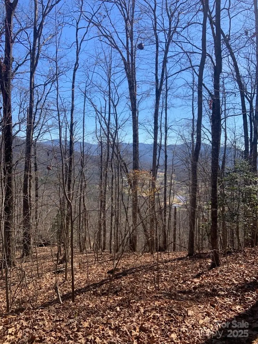TBD Ashe Branch View #66J, Hayesville, NC 28904 - #2