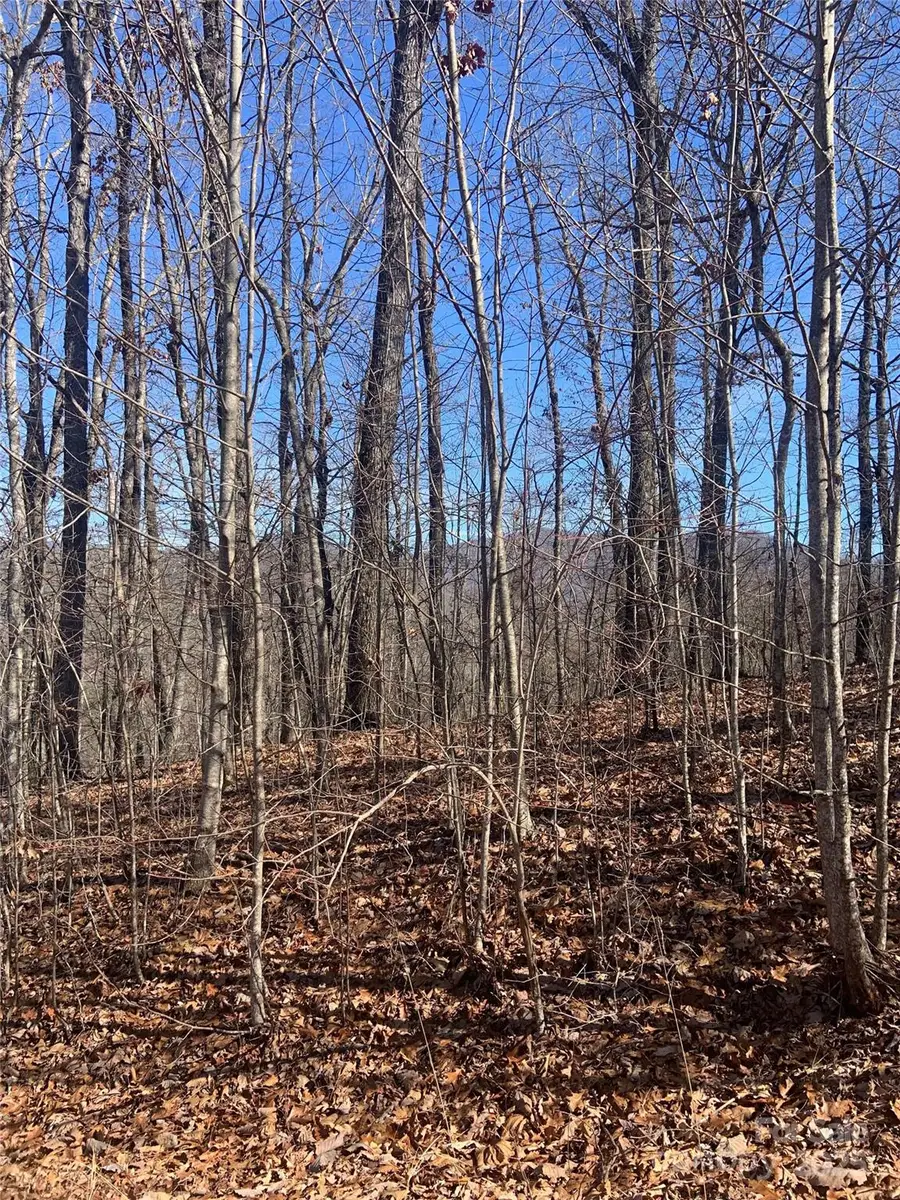 TBD Ashe Branch View #66J, Hayesville, NC 28904 - #3
