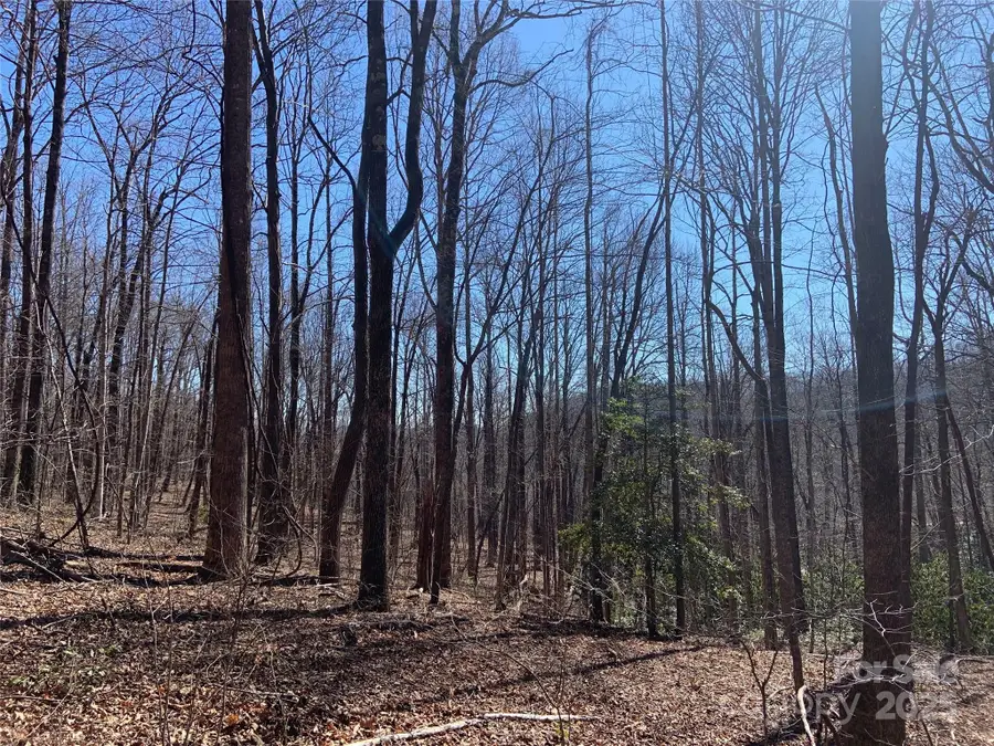 TBD Glen Ridge Trail #252, Lake Lure, NC 28746 - #2