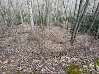 #3
