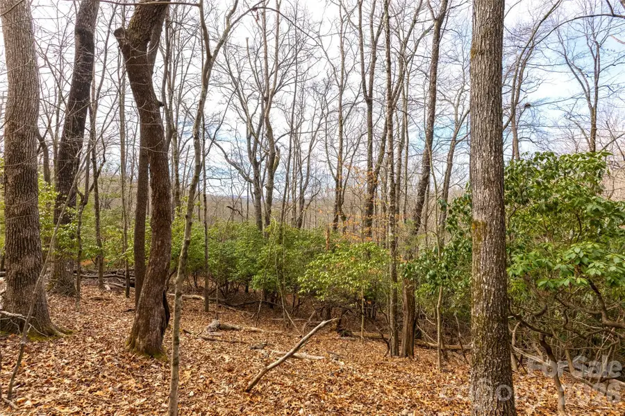 0 Aberdeen Lane, Pisgah Forest, NC 28768 - #2