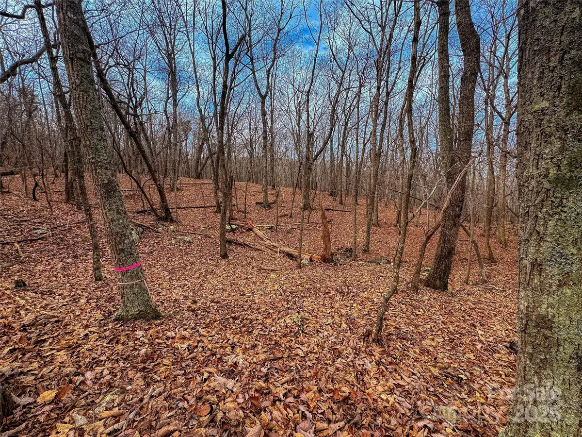 750 Palisade Trail, Denton, NC 27239 - Image #1