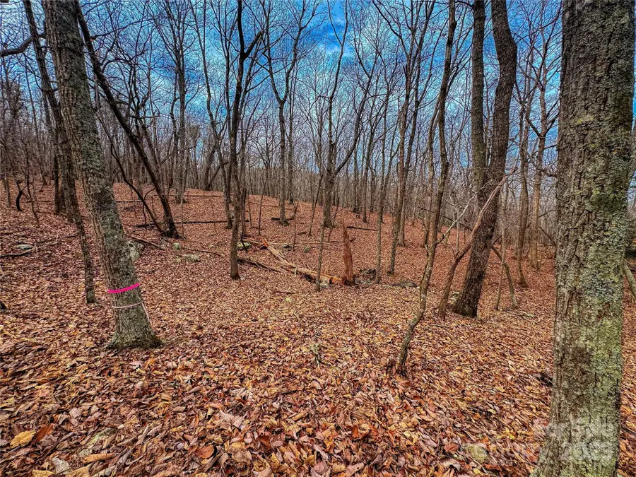 750 Palisade Trail, Denton, NC 27239 - Image #2