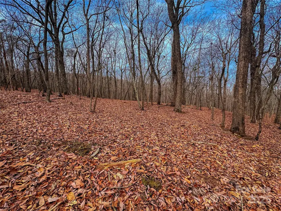 750 Palisade Trail, Denton, NC 27239 - Image #3