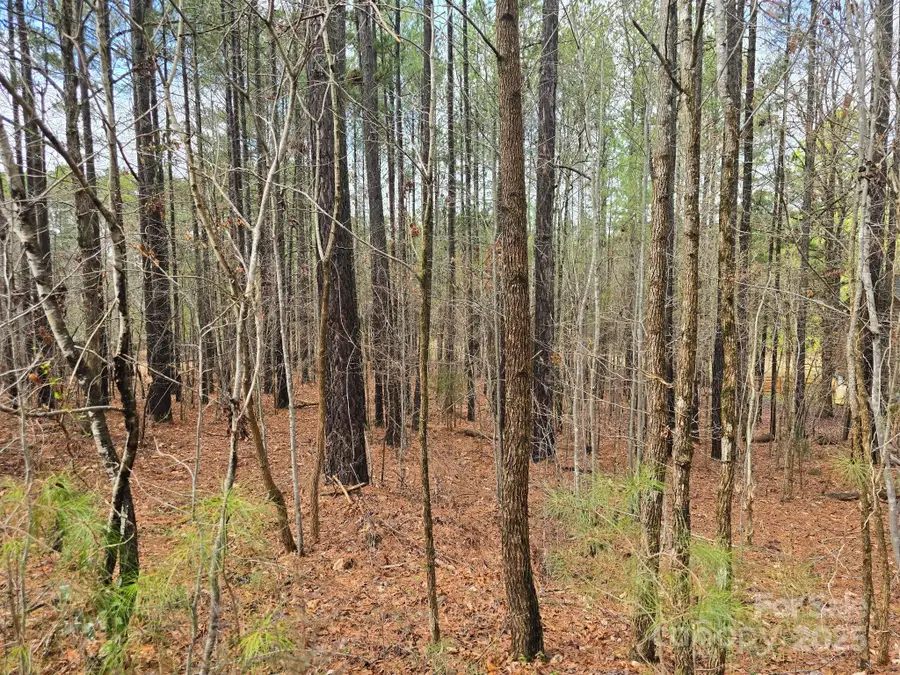 225 Cove Wood Drive, Denton, NC 27239 - Image #3