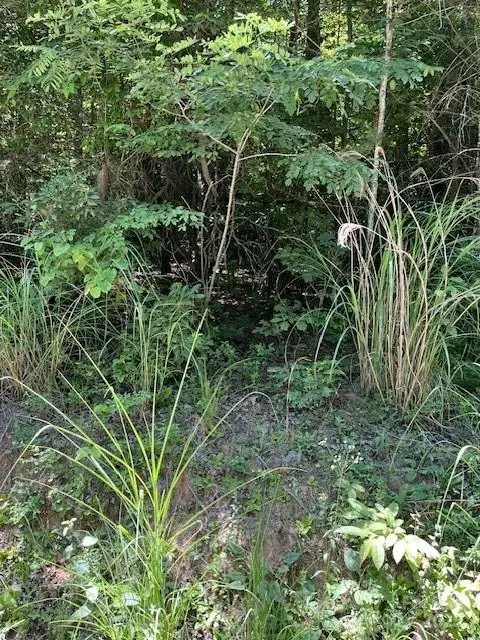 #3