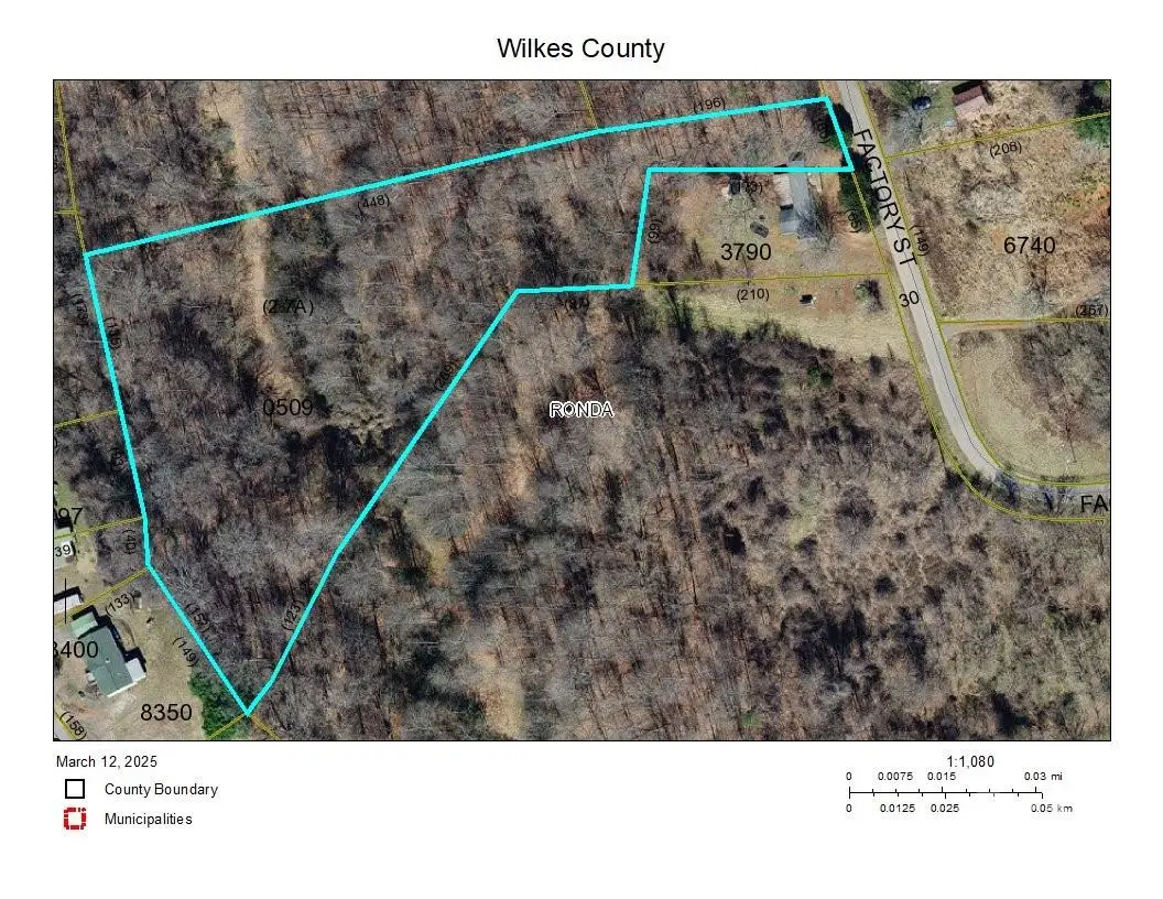 501 Factory Street, Ronda, NC 28670 - Image #1