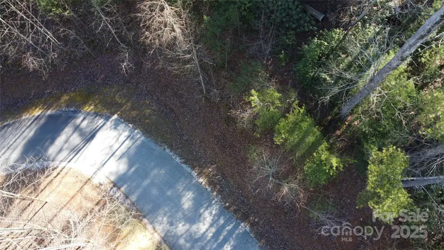 444 Dockside Drive #17A, Nebo, NC 28761 - Image #3