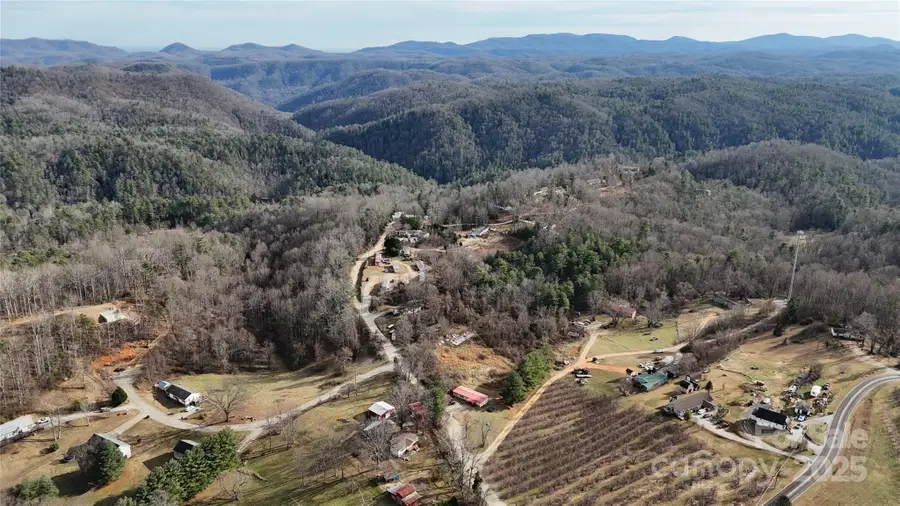 160 & 196 Dudley Drive, Flat Rock, NC 28731 - Image #3