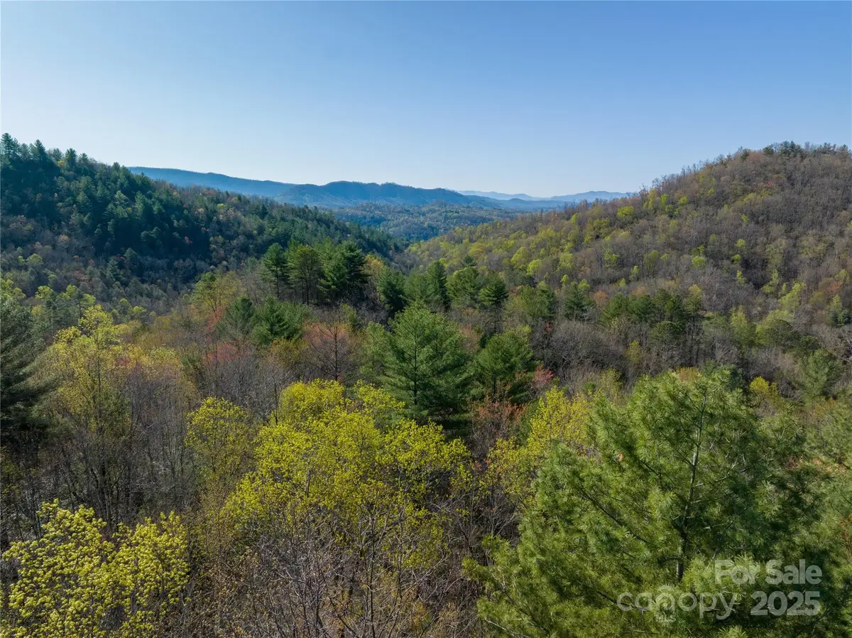 TBH Alf Branch Drive, Marble, NC 28905 - Image #1