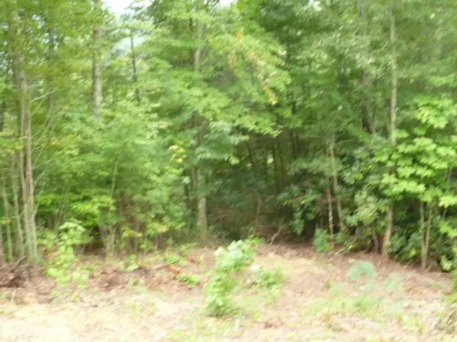 #3