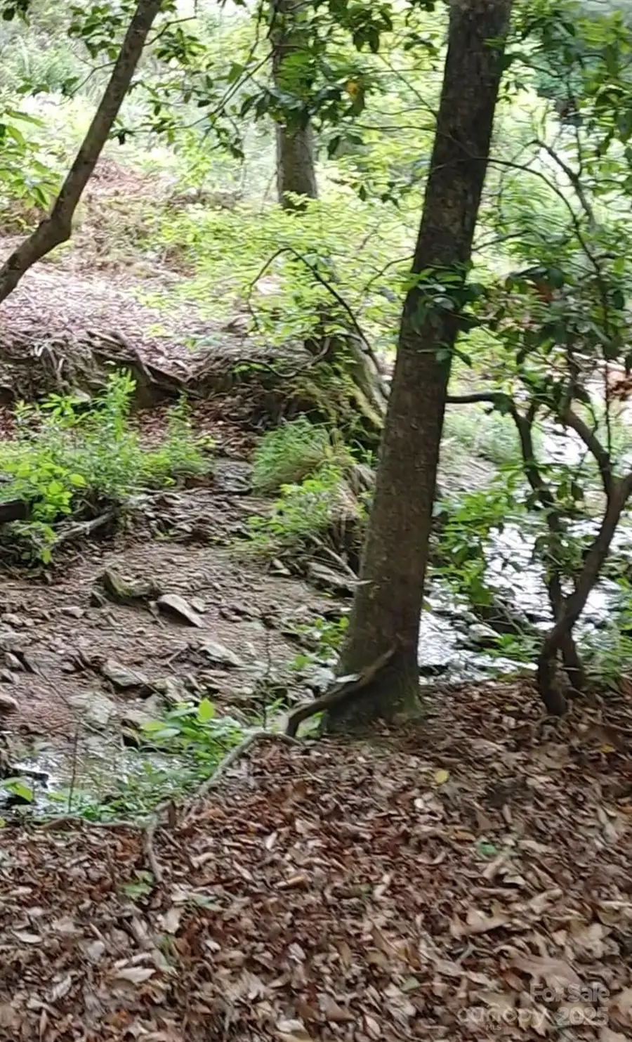 #3
