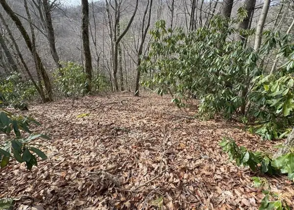 TBD Big Ridge Road, Bakersville, NC 28705