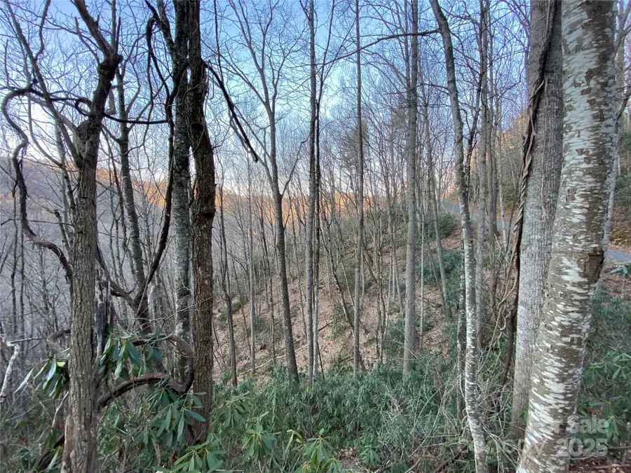 TBD Big Ridge Road, Bakersville, NC 28705 - Image #3