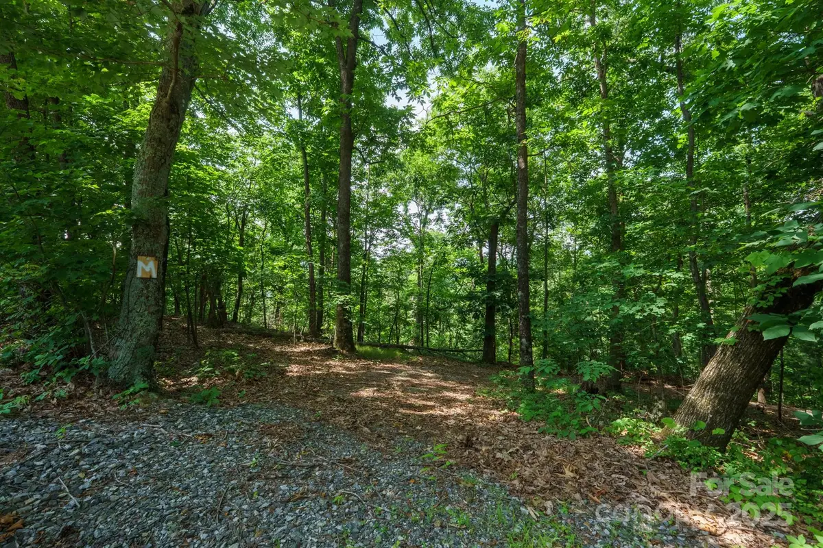 00 Hendren Road, Moravian Falls, NC 28654 - Image #1