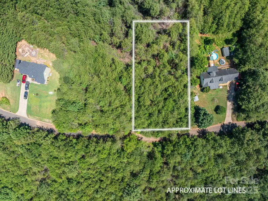 Lot 10 Meadow Crossing Drive, Rutherfordton, NC 28139 - #2