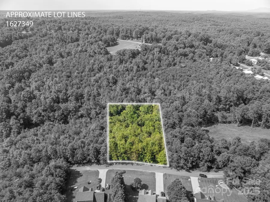 Lot 7 Meadow Crossing Drive, Rutherfordton, NC 28139 - #3