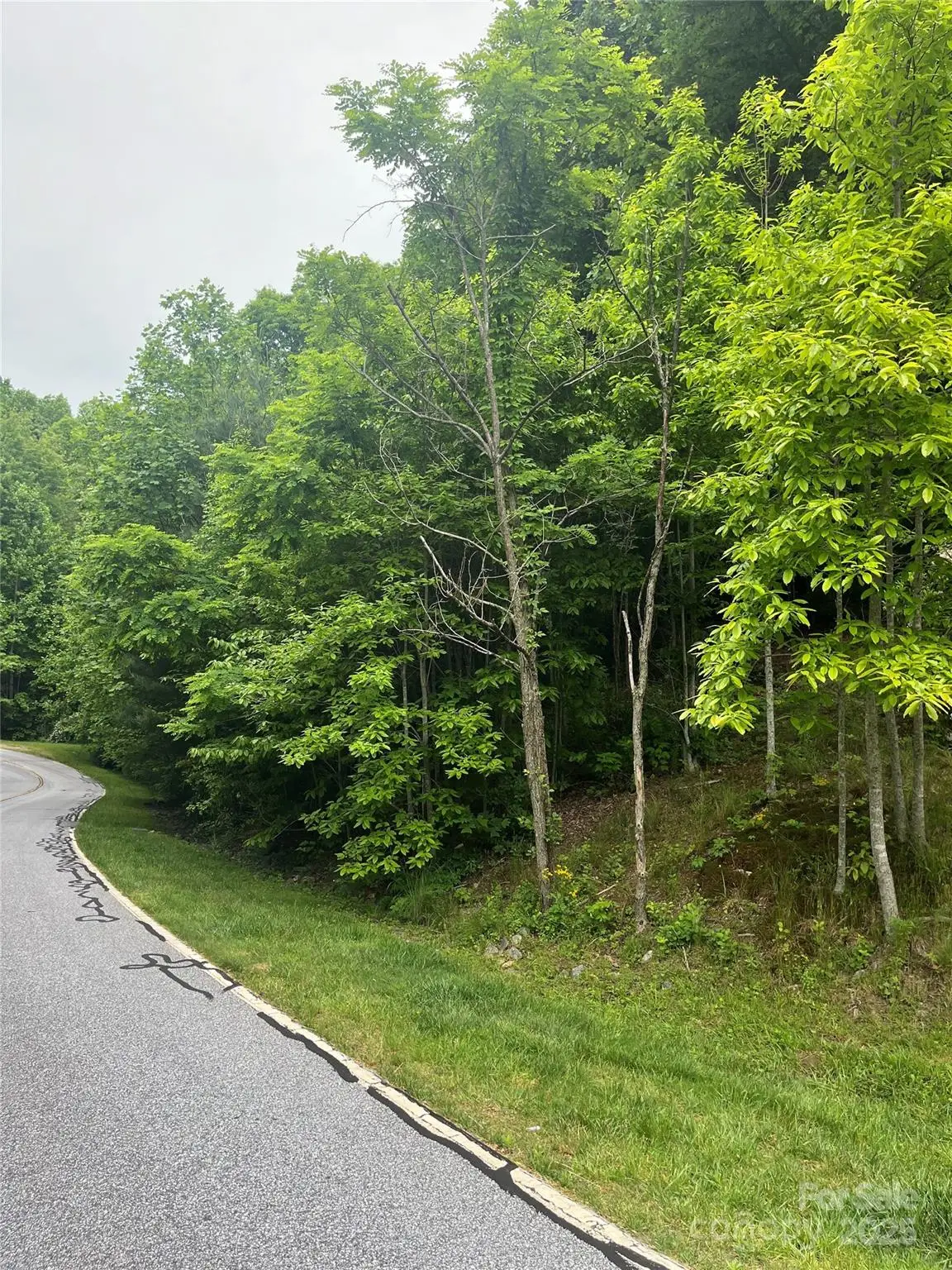 112 Pinnacle Peak Lane, Flat Rock, NC 28731 - #1