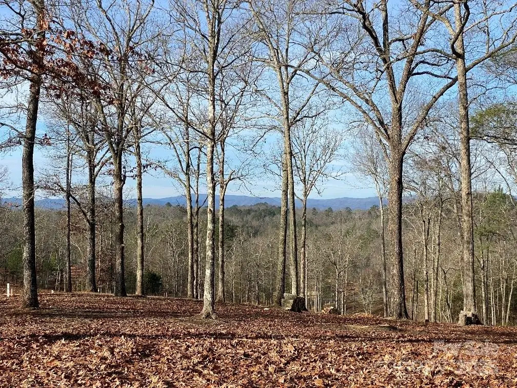 10 Arbor Creek Trail #10, Mineral Bluff, GA 30559 - #1