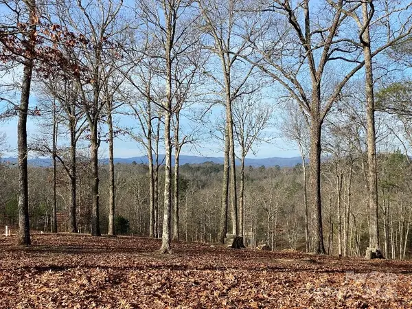 10 Arbor Creek Trail #10, Mineral Bluff,  30559