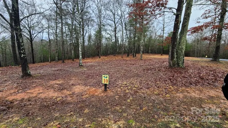 10 Arbor Creek Trail #10, Mineral Bluff, GA 30559 - #2