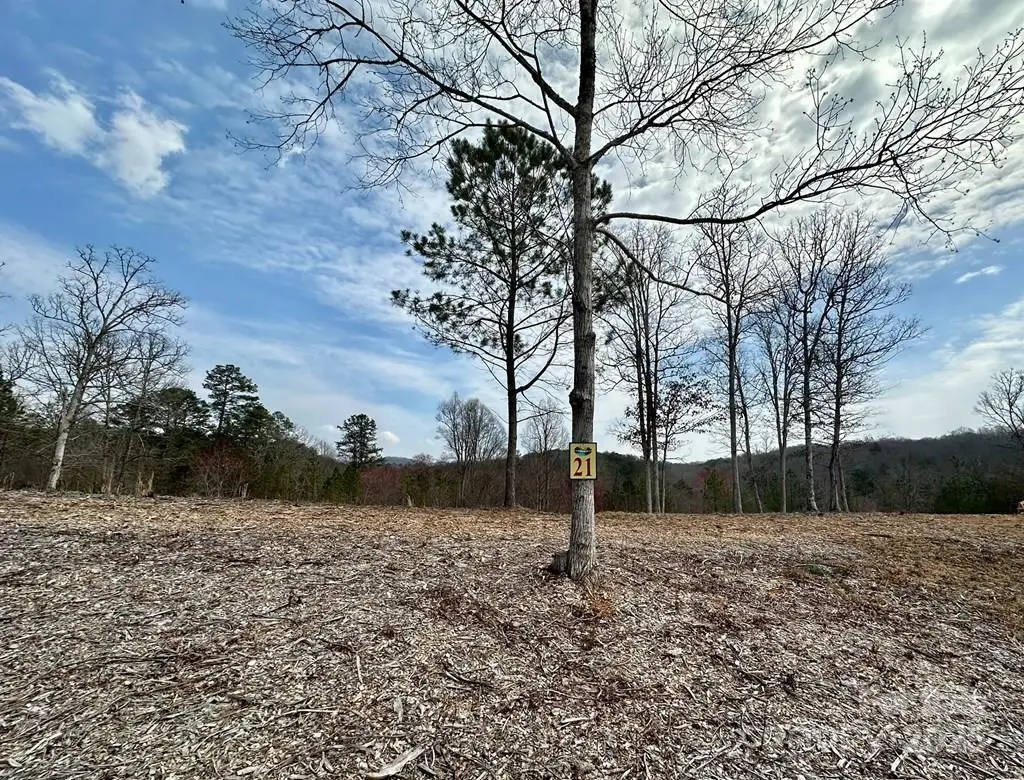 21 Arbor Creek Trail #21, Mineral Bluff, GA 30559 - #1