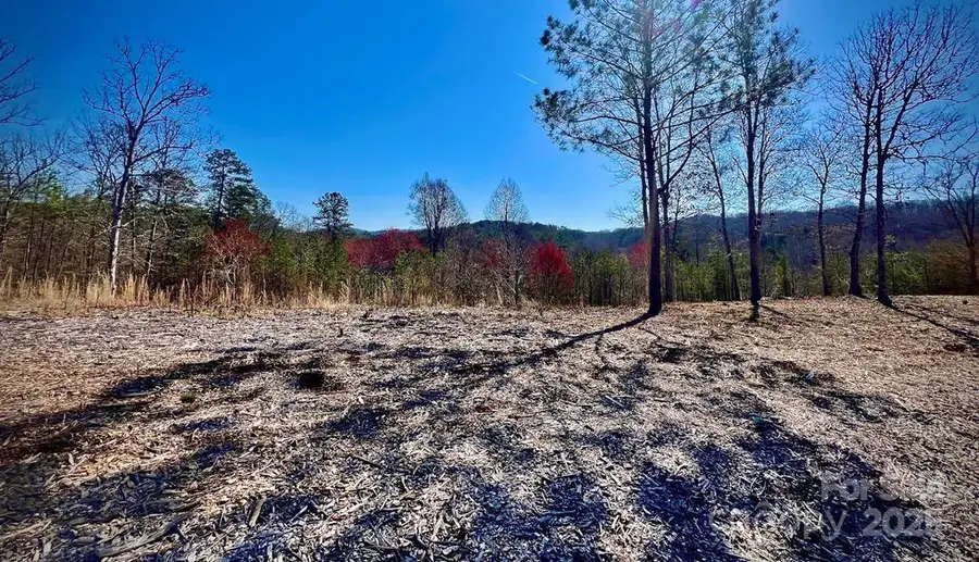 21 Arbor Creek Trail #21, Mineral Bluff, GA 30559 - #2