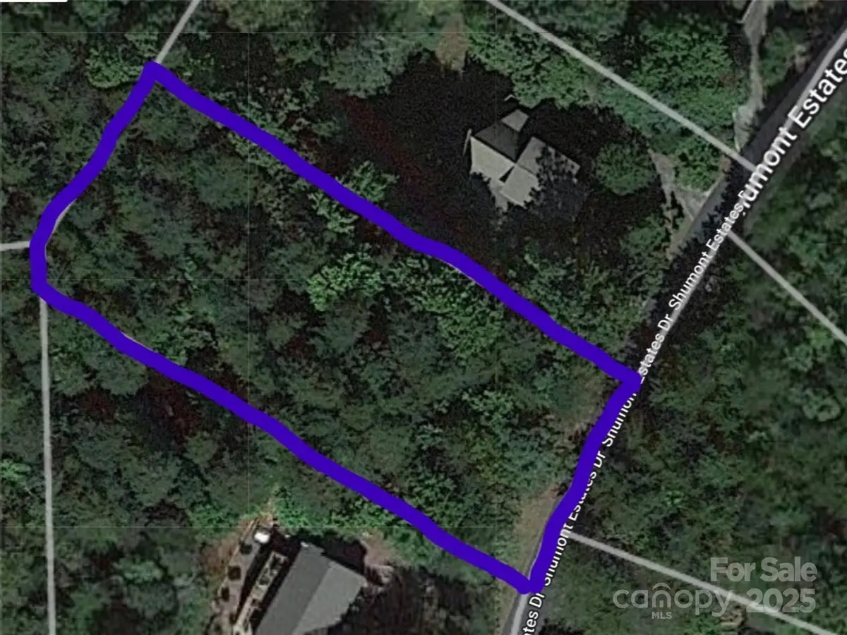 Lot 102 Shumont Estates Drive, Lake Lure, NC 28746 - #1