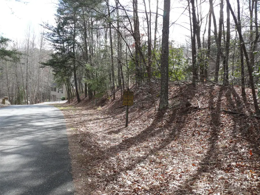 Lot 102 Shumont Estates Drive, Lake Lure, NC 28746 - #2