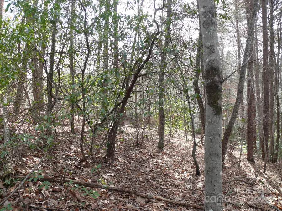 Lot 102 Shumont Estates Drive, Lake Lure, NC 28746 - #3
