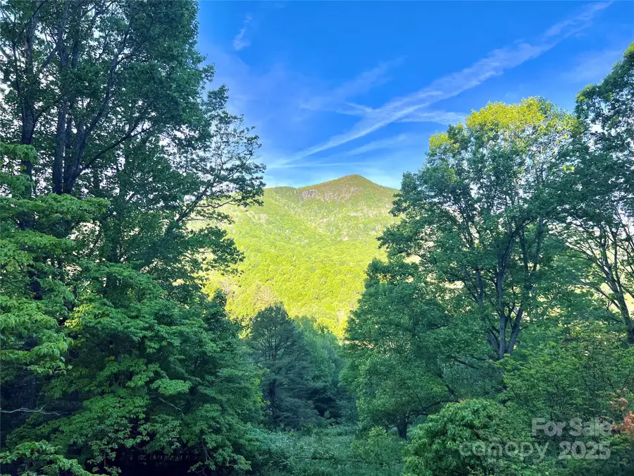 2636 Buck Mountain Road, West Jefferson, NC 28694 - Image #2