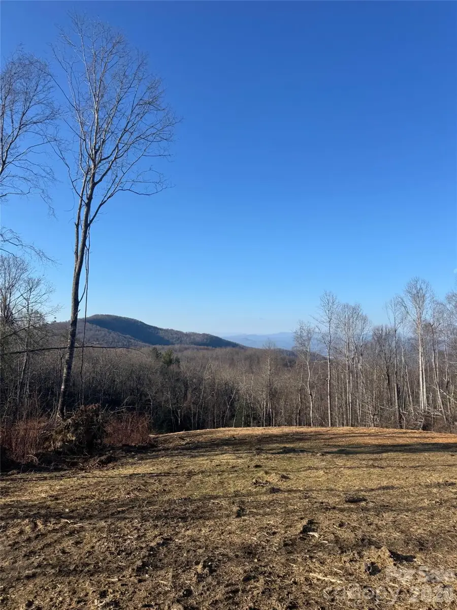 620 Dancing Bear Drive #195, Hendersonville, NC 28792 - #2