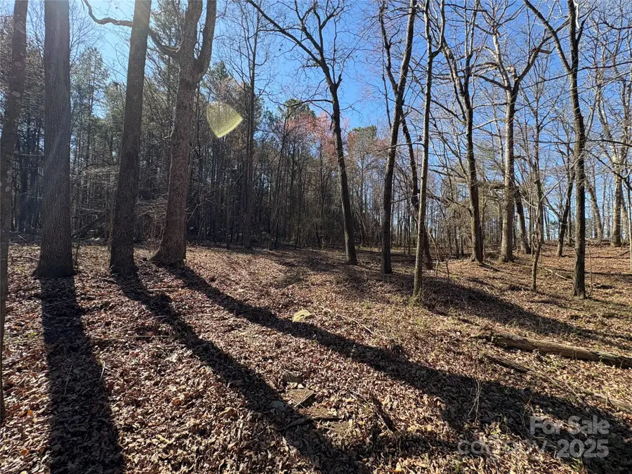 1417 Ellis Griffin Road, Wingate, NC 28174 - #3