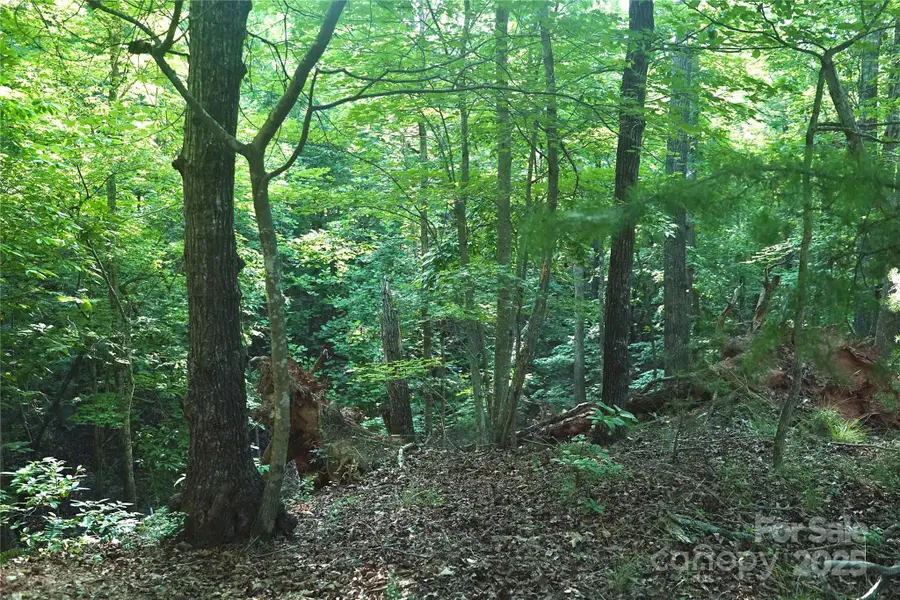 #2