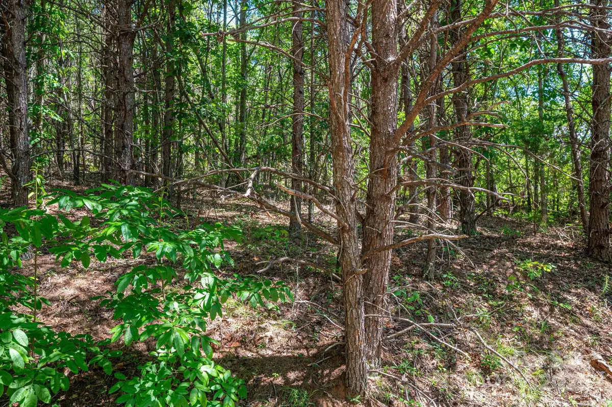 Lot 12 Meadow Crossing Drive, Rutherfordton, NC 28139 - #1