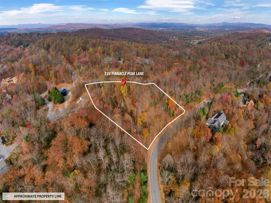 128 Pinnacle Peak Lane, Flat Rock, NC 28731 - #2