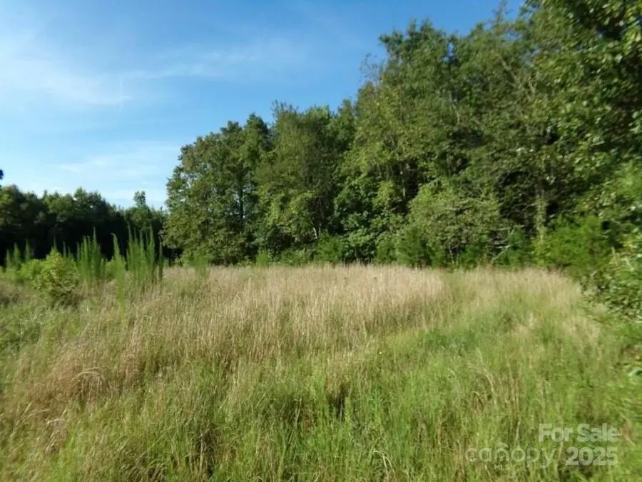 Lot 5 Painter Road, Mooresboro, NC 28114 - #3