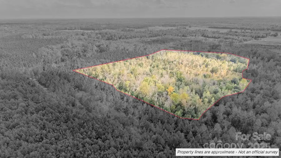 380 Harfam Road, Vanceboro, NC 28586 - Image #3