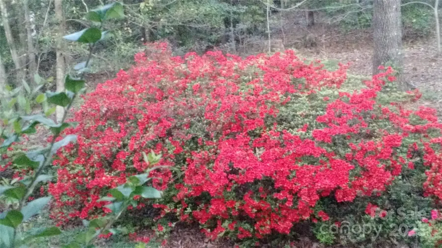 3065 Woodstream Drive, Valdese, NC 28690 - Image #2