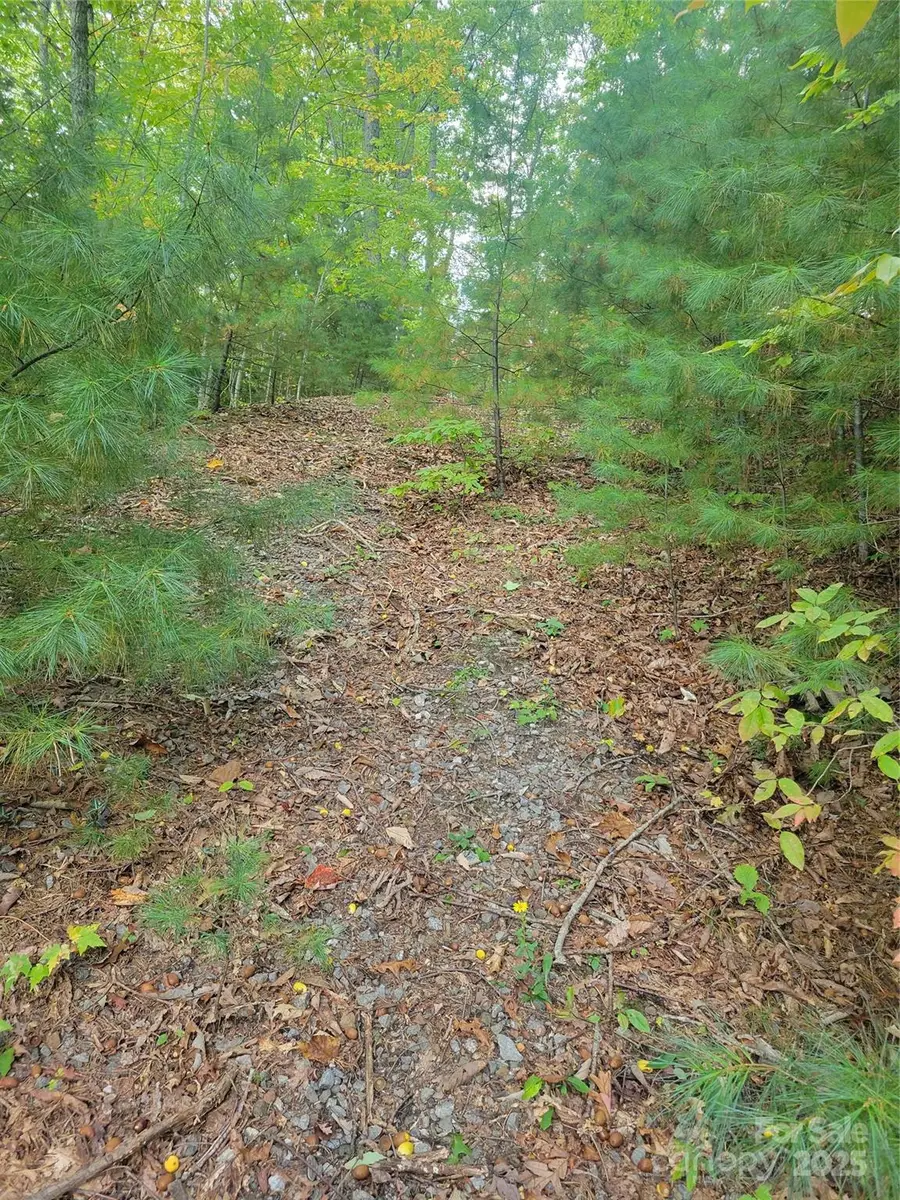 0 Pinewood Drive #5, Waynesville, NC 28786 - Image #3