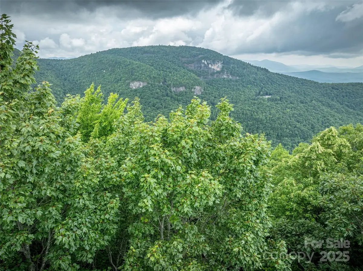 000 Meadow Ridge Drive #L9, Lake Toxaway, NC 28747 - #1