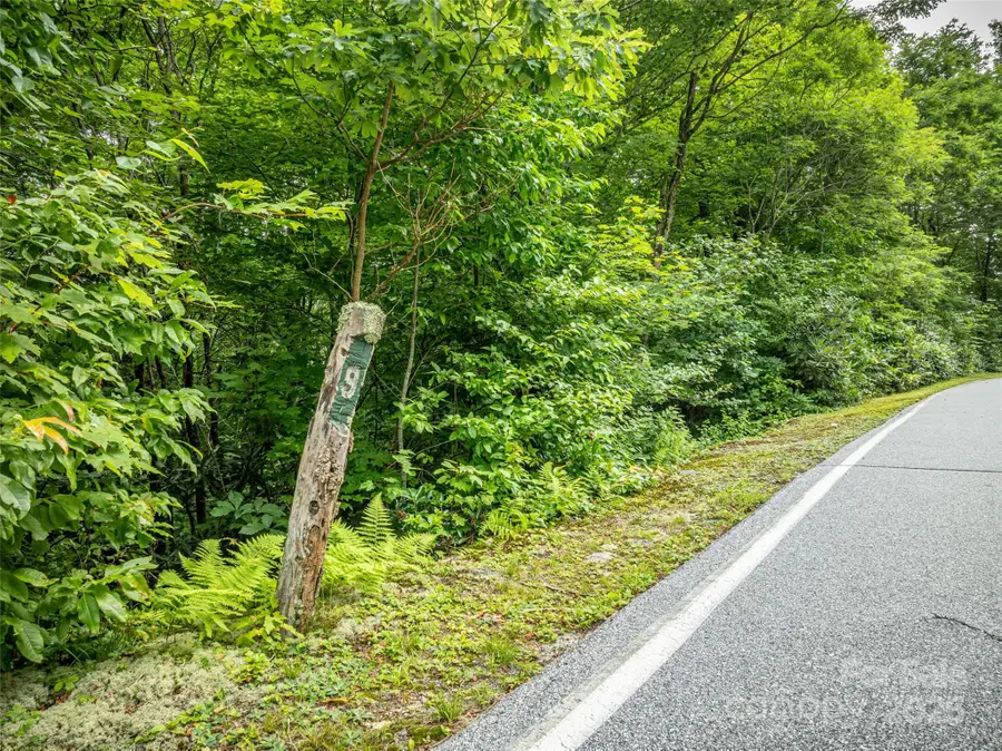 000 Meadow Ridge Drive #L9, Lake Toxaway, NC 28747 - #2