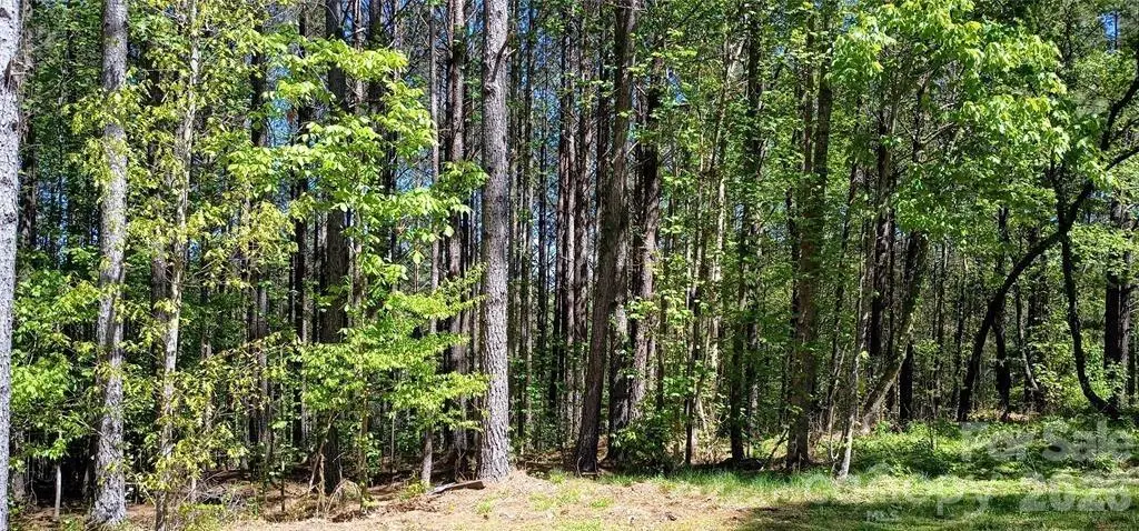 158 Table Rock Trace Nw, Valdese, NC 28690 - #1