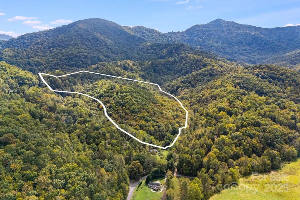 99999 S Hidden Cove Road, Leicester, NC 28748 - Image #1