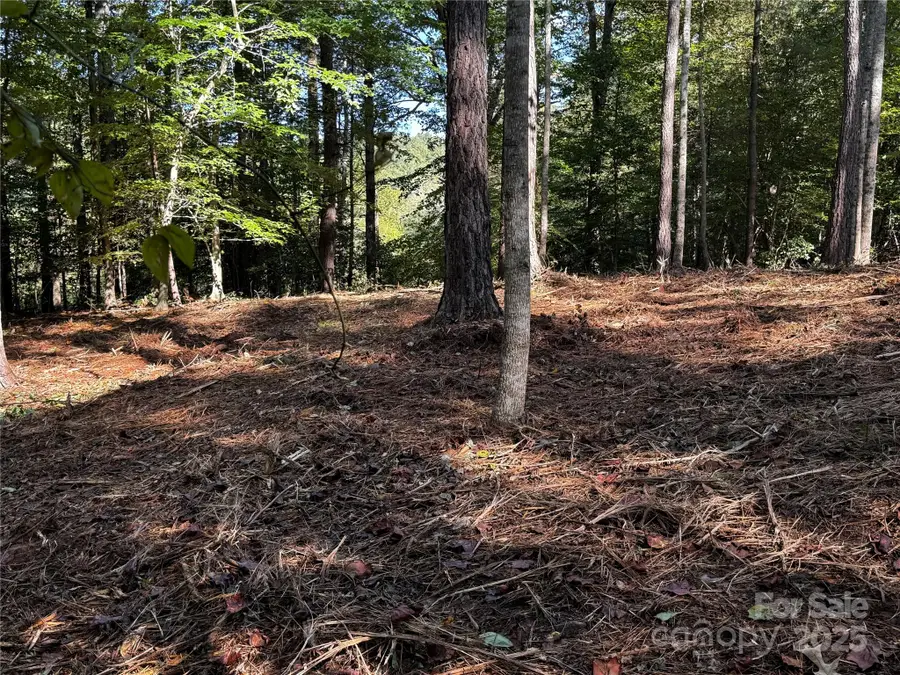 00 Hayes Mill Road #A-1, Granite Falls, NC 28630 - Image #3