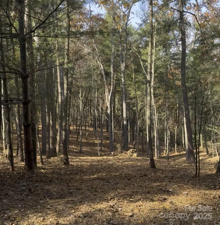 0 Cedar Hill Drive #24, Asheville, NC 28803 - Image #2