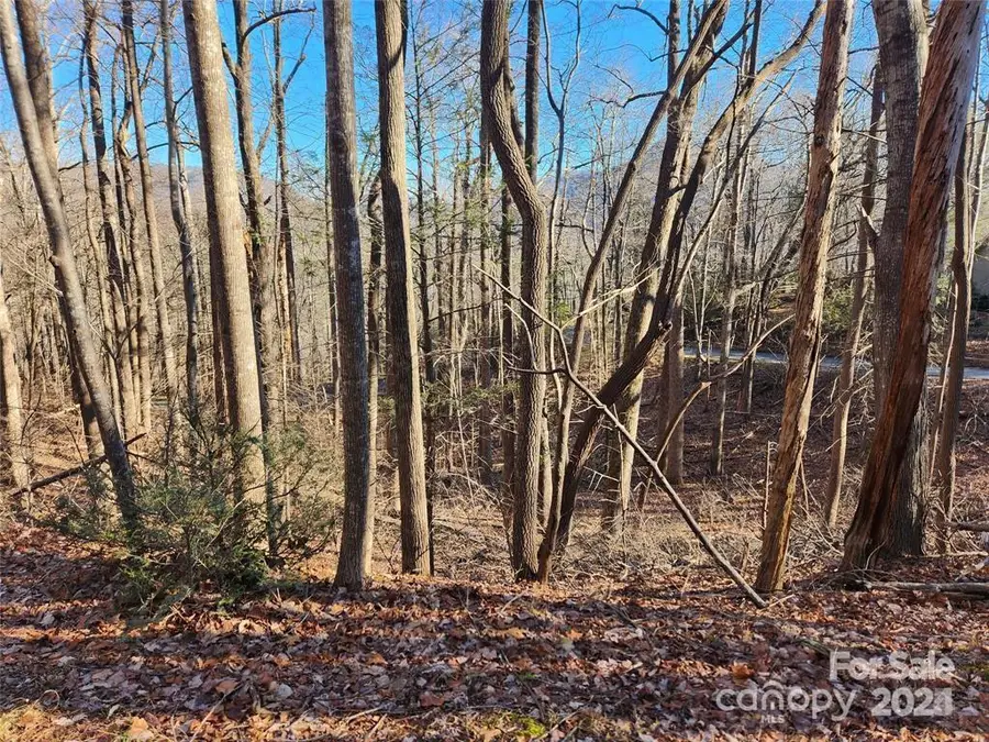 Lot 218 Bolt Road, Lake Lure, NC 28746 - Image #2