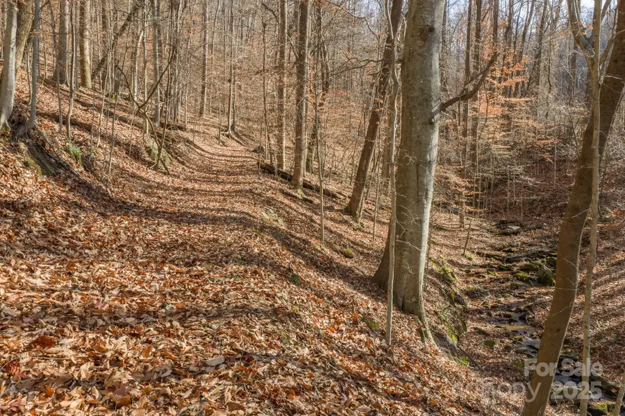 0 E Brocktown Road, Moravian Falls, NC 28654 - #2