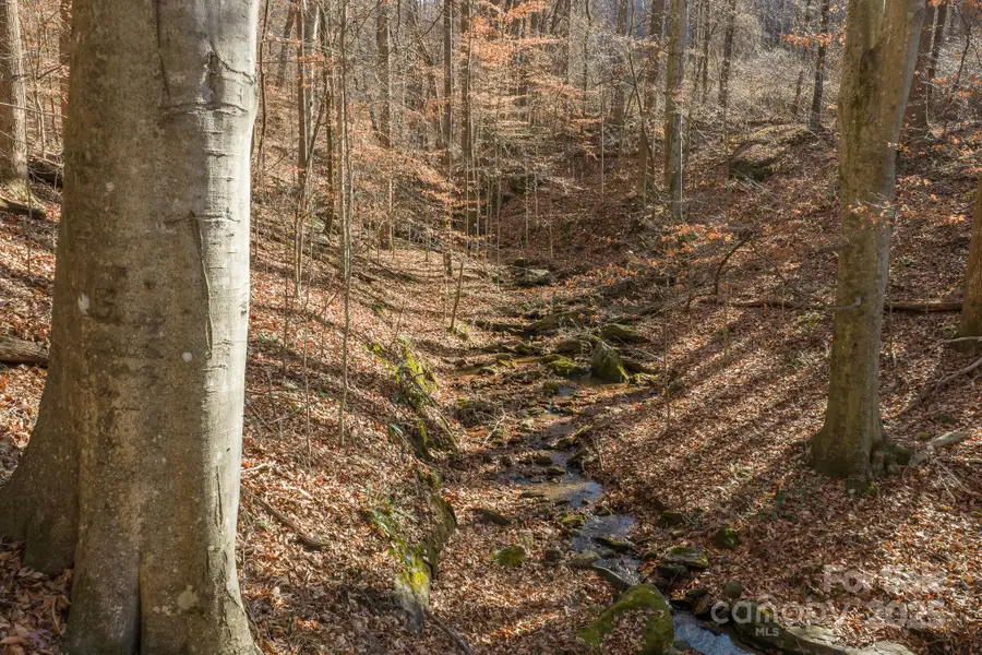 0 E Brocktown Road, Moravian Falls, NC 28654 - #3